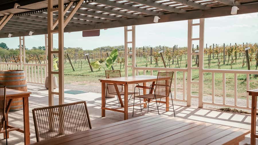 Buenos Aires: Wine Tasting and Lunch at Bodega Gamboa - Walking the vineyard with your guide