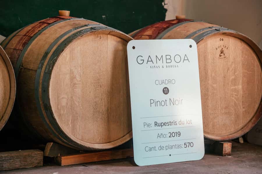 Buenos Aires: Wine Tasting and Lunch at Bodega Gamboa - Who will enjoy this day trip most