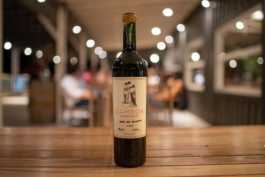 Buenos Aires: Wine Tasting and Lunch at Bodega Gamboa - Practical details for a smoother visit