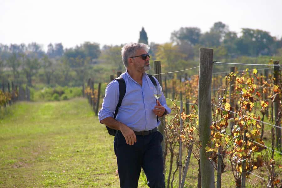 Buenos Aires: Wine Tasting and Lunch at Bodega Gamboa - Should you book Bodega Gamboa?