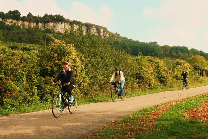 Burgundy Bike Tour with Wine Tasting from Beaune - Domaine Famille Picard and the first three wines
