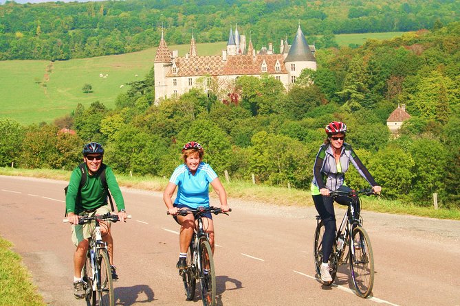 Burgundy Bike Tour with Wine Tasting from Beaune - Cycling through Pommard, Volnay, and Meursault