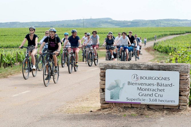 Burgundy Bike Tour with Wine Tasting from Beaune - Is $253.95 a fair price?