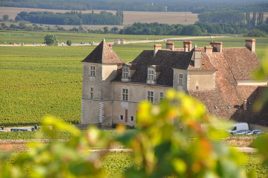 Burgundy Wines Full-Day Tasting Tour from Dijon - Why this Burgundy day trip works