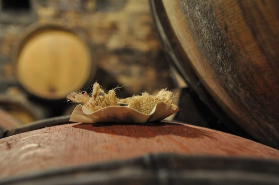 Burgundy Wines Full-Day Tasting Tour from Dijon - Beaune, Burgundy’s wine capital