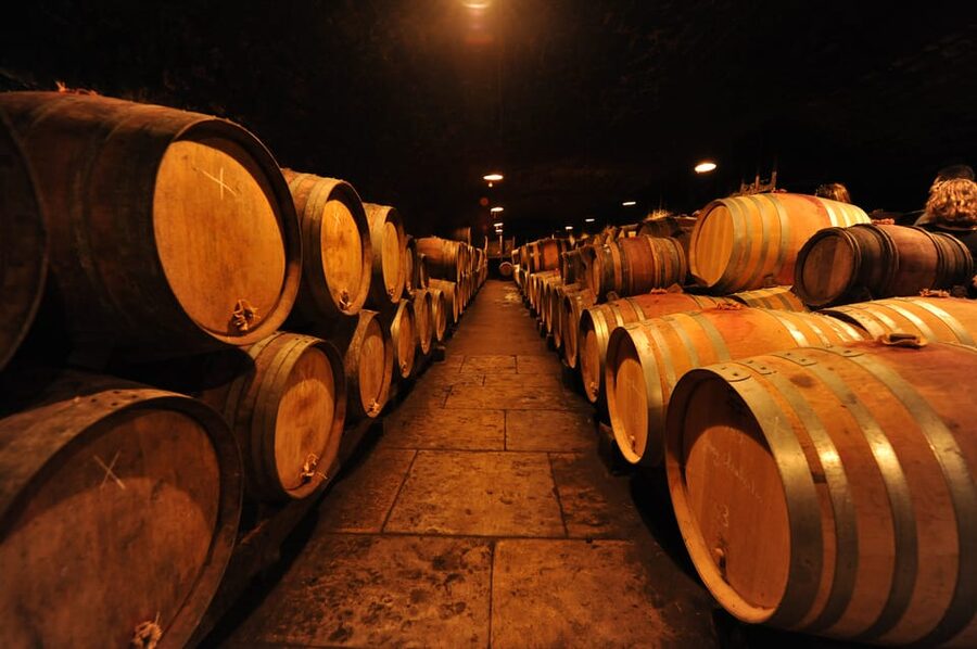 Burgundy Wines Full-Day Tasting Tour from Dijon - Price, group size, and overall value