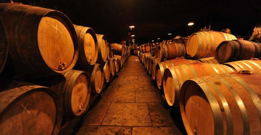 Burgundy Wines Full-Day Tasting Tour from Dijon - The family-run cellar and its older bottles