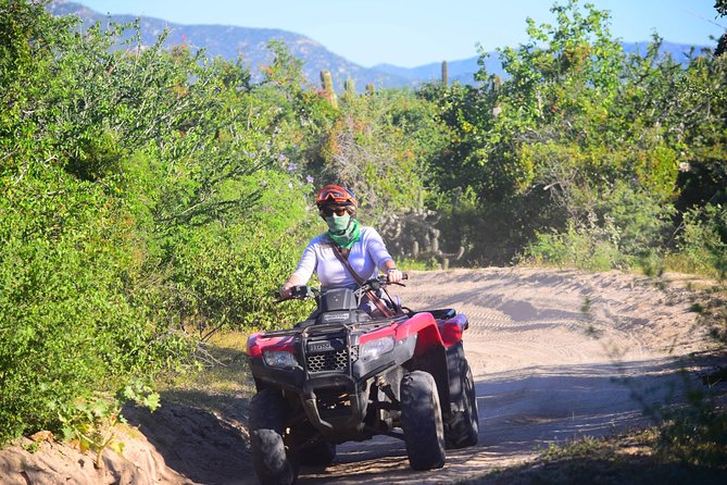 Cabo Candelaria Village Adventure + Tequila Tasting - Choosing a pace that fits your group