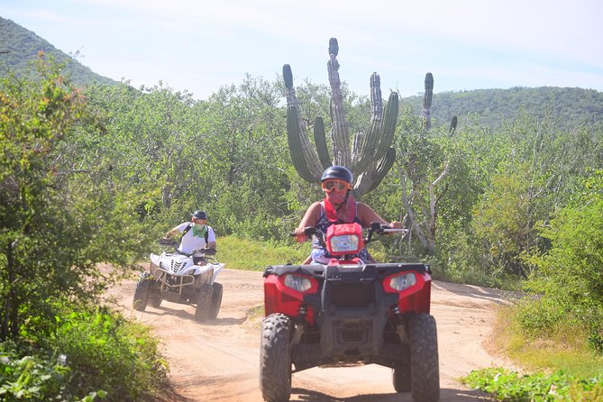 Cabo Candelaria Village Adventure + Tequila Tasting - Booking timing and cancellation terms