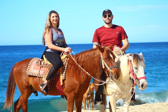 Cabo Desert Off-Road & Beach Horseback Combo and Tequila Tasting - A beach ride with a slower rhythm