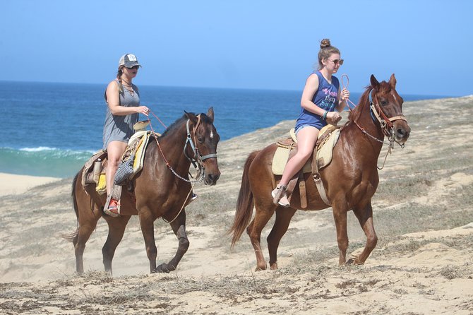 Cabo Desert Off-Road & Beach Horseback Combo and Tequila Tasting - Guides can make the difference