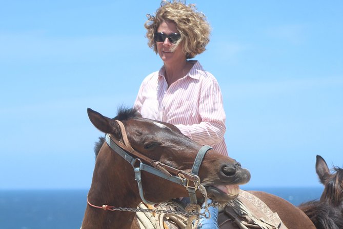 Cabo Desert Off-Road & Beach Horseback Combo and Tequila Tasting - The real cost of a $100 excursion