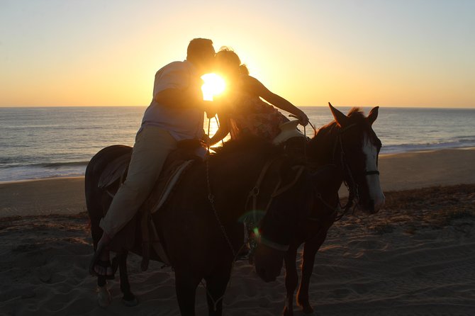 Cabo Desert Off-Road & Beach Horseback Combo and Tequila Tasting - Transport, equipment, and physical demands