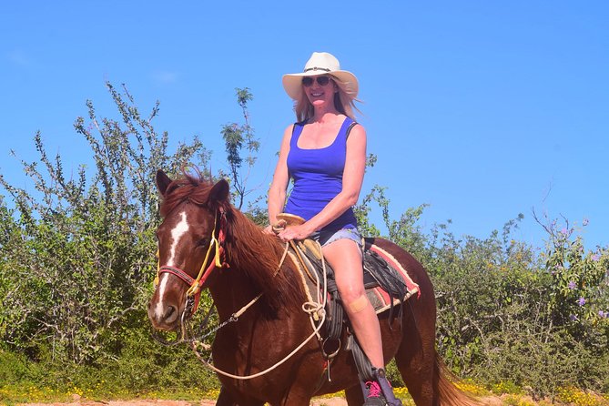 Cabo Desert Off-Road & Beach Horseback Combo and Tequila Tasting - Should you book the Cabo ATV and horseback combo?