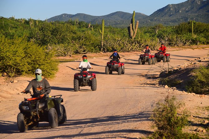 Cabo Migrino Beach and Desert ATV Tour plus Tequila Tasting - Safety rules and comfort matter here