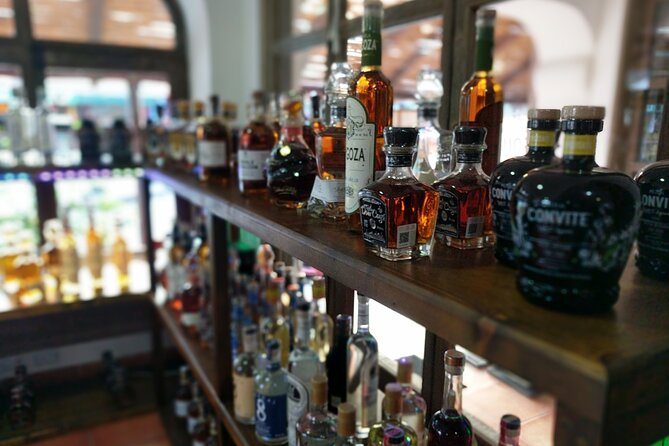 Cabo San Lucas Tequila Tasting Experience - Is $40 a Good Price in Cabo?