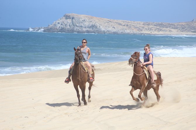 Cabo White Sand Horseback Riding Tour and Tequila Tasting - From cactus trails to the Pacific shore