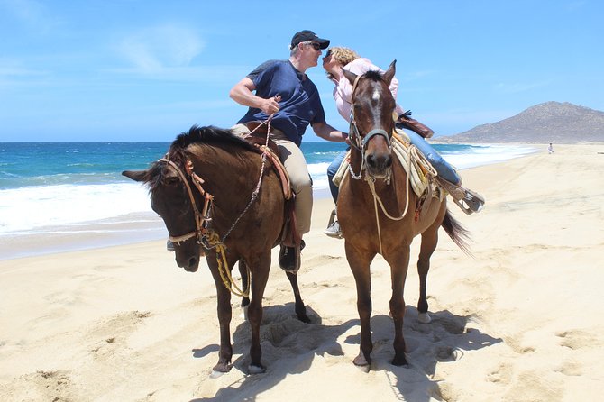 Cabo White Sand Horseback Riding Tour and Tequila Tasting - A slow ride, not a galloping adventure