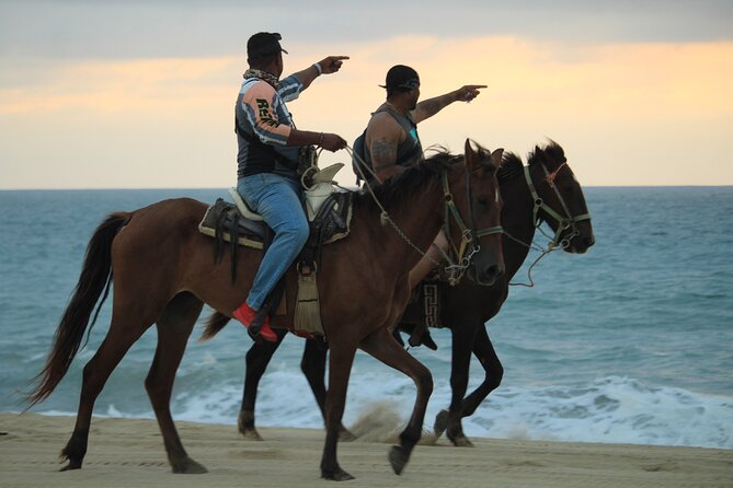 Cabo White Sand Horseback Riding Tour and Tequila Tasting - The tequila tasting has two different faces