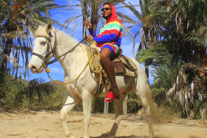 Cabo White Sand Horseback Riding Tour and Tequila Tasting - Tips, photos, and the pressure problem