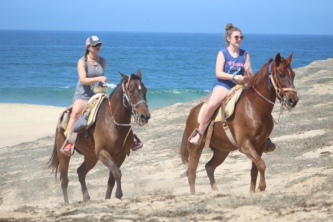 Cabo White Sand Horseback Riding Tour and Tequila Tasting - Who will enjoy this Cabo ride most