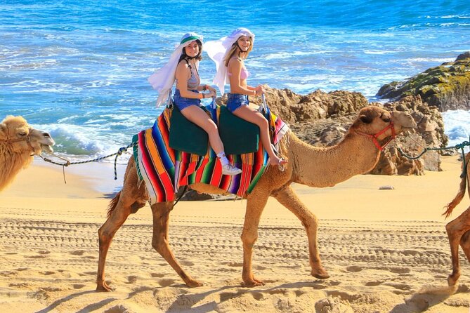 Camel Ride and UTV Combo Adventure, with Tequila Tasting - Two very different rides at Rancho de Migriño