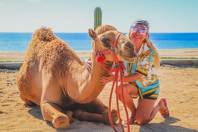 Camel Ride and UTV Combo Adventure, with Tequila Tasting - Tequila tasting in a short final stop