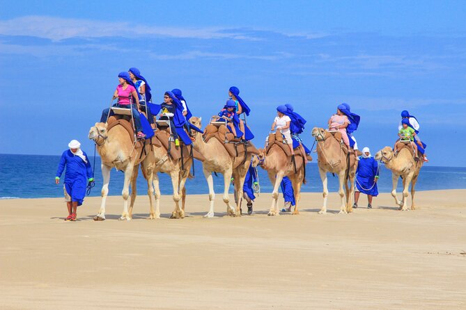 Camel Ride and UTV Combo Adventure, with Tequila Tasting - Transportation, timing, and the cruise-port question