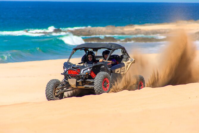 Camel Ride and UTV Combo Adventure, with Tequila Tasting - Who will enjoy this Cabo excursion most