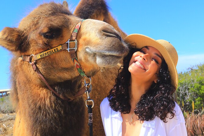 Camel Ride and UTV Combo Adventure, with Tequila Tasting - A gentle hour beside the Pacific