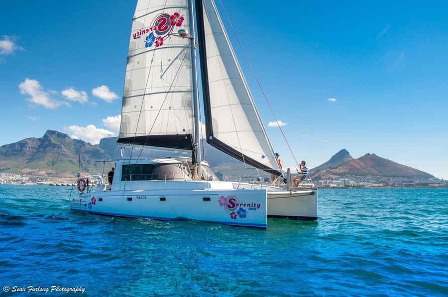 Cape Town: 1-Hour Pre-Sunset Champagne Cruise - The first minutes on the water