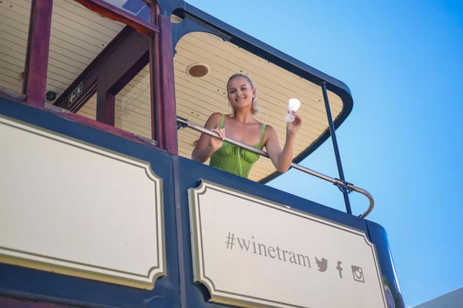 Cape Town: Full-Day Wine Tasting Tour with Wine Tram - Key points to know before booking