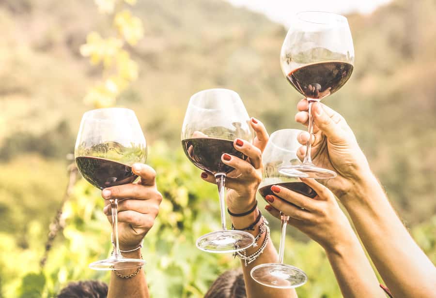 Cape Town: Full-Day Wine Tasting Tour with Wine Tram - Franschhoek for lunch and free time