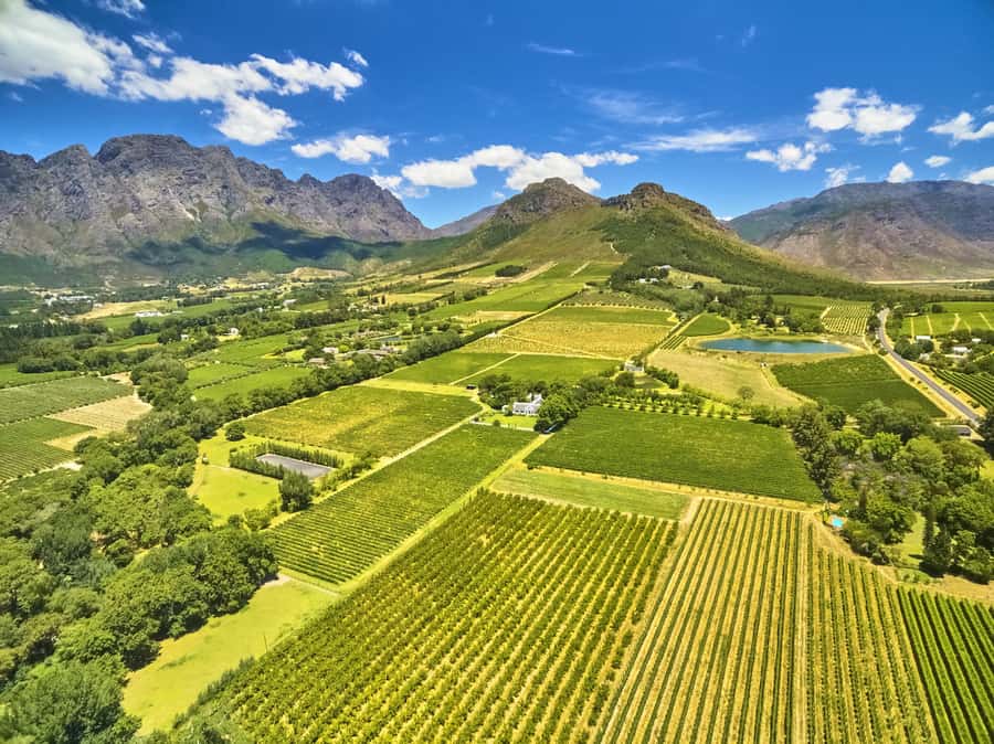 Cape Town: Full-Day Wine Tasting Tour with Wine Tram - The final Mandela stop