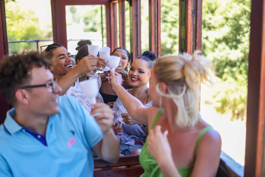 Cape Town: Full-Day Wine Tasting Tour with Wine Tram - Guides, vehicles, and the human side of the day