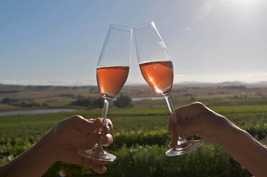 Cape Town: Full-Day Winelands Tour with Wine Tastings & Food - Why this Cape Winelands tour works well