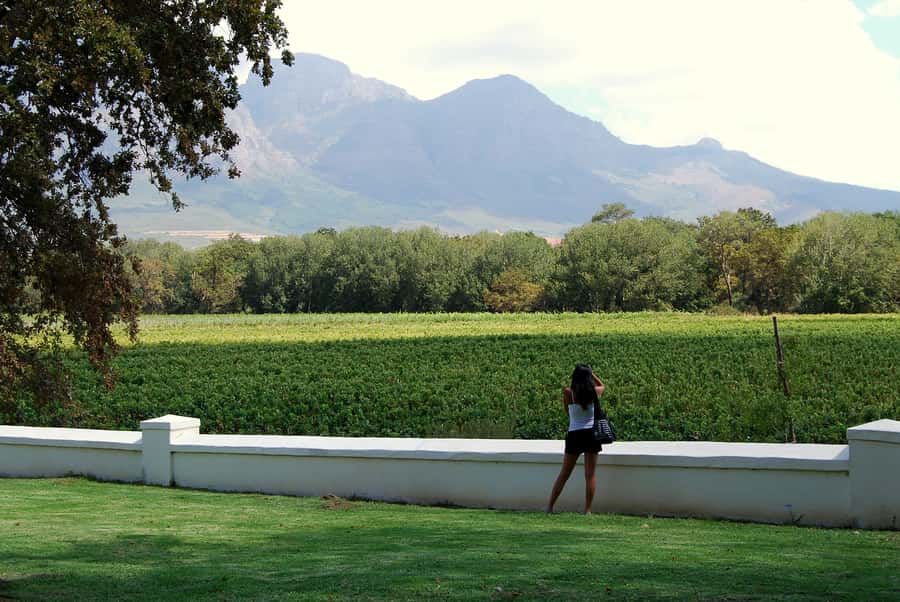 Cape Town: Full-Day Winelands Tour with Wine Tastings & Food - Leaving Cape Town for Paarl