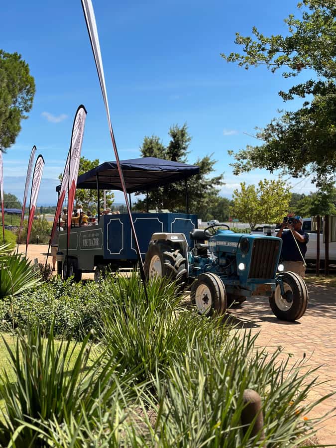 Cape Town: Stellenbosch Hop-On Hop-Off Tractor Transfer - A tractor ride through Stellenbosch’s wine country
