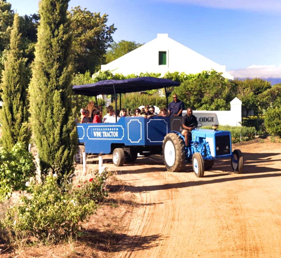 Cape Town: Stellenbosch Hop-On Hop-Off Tractor Transfer - What the 65-minute farm stops really mean