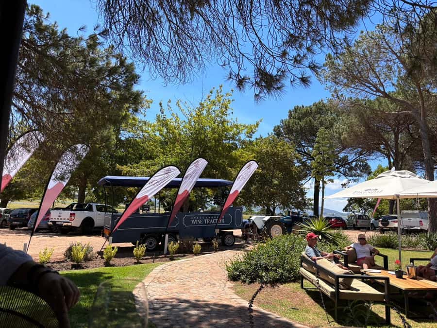 Cape Town: Stellenbosch Hop-On Hop-Off Tractor Transfer - How to plan your tastings and lunch