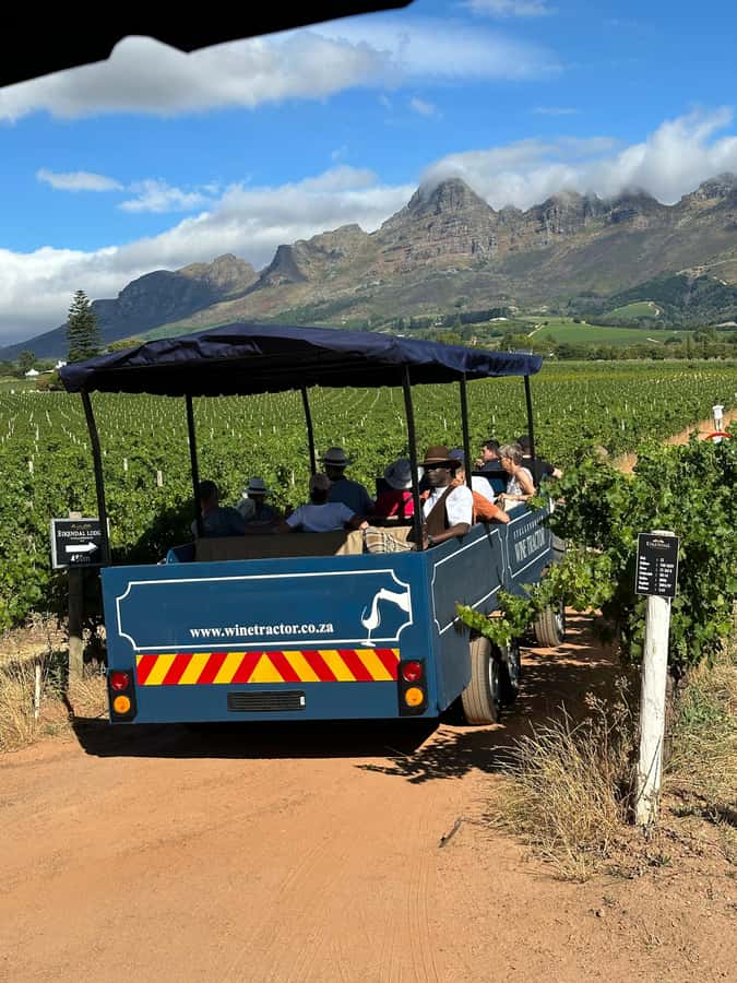 Cape Town: Stellenbosch Hop-On Hop-Off Tractor Transfer - Who will enjoy this experience most?