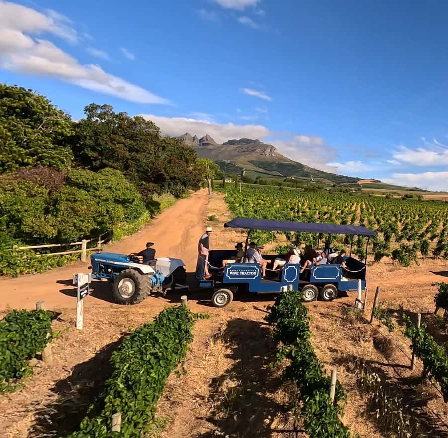Cape Town: Stellenbosch Hop-On Hop-Off Tractor Transfer - The kinds of wine farms you can visit