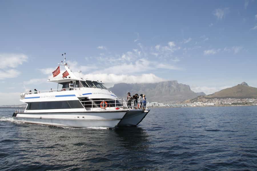Cape Town: Sunset Champagne Cruise and 3-Course Dinner - Practical details that make the evening easier