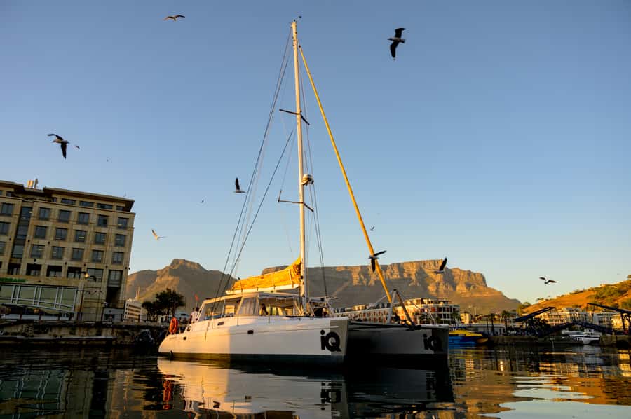 Cape Town: V&A Waterfront Gin Voyage Cruise - Key points to know before you book