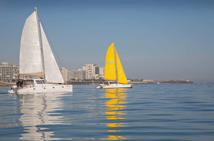 Cape Town: V&A Waterfront Gin Voyage Cruise - Should you book the Gin Voyage?