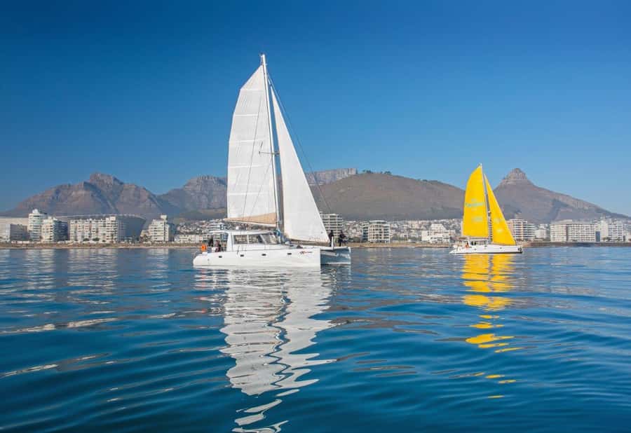 Cape Town: V&A Waterfront Gin Voyage Cruise - Wildlife sightings depend on the day