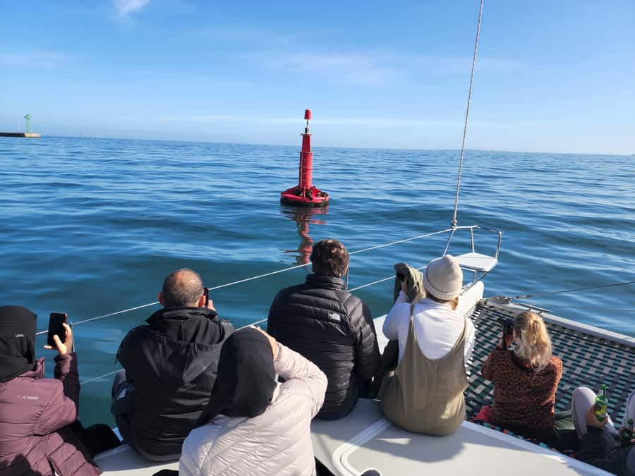 Cape Town: V&A Waterfront Gin Voyage Cruise - Who will get the most from this one-hour cruise