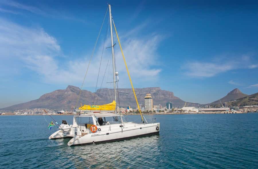 Cape Town: V&A Waterfront Gin Voyage Cruise - Is $37 a fair price?