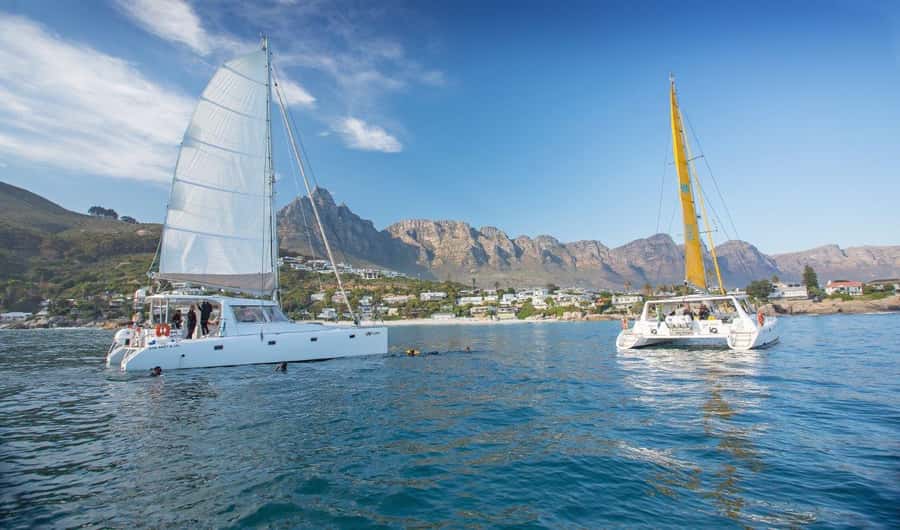 Cape Town: V&A Waterfront Gin Voyage Cruise - Leaving the harbour with a glass of sparkling wine