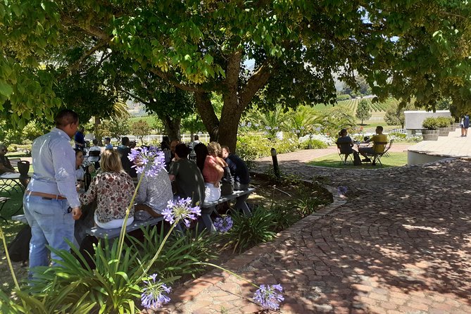 Cape Winelands and Wine Tasting Full Day Tour - Fairview combines wine with cheese in Paarl